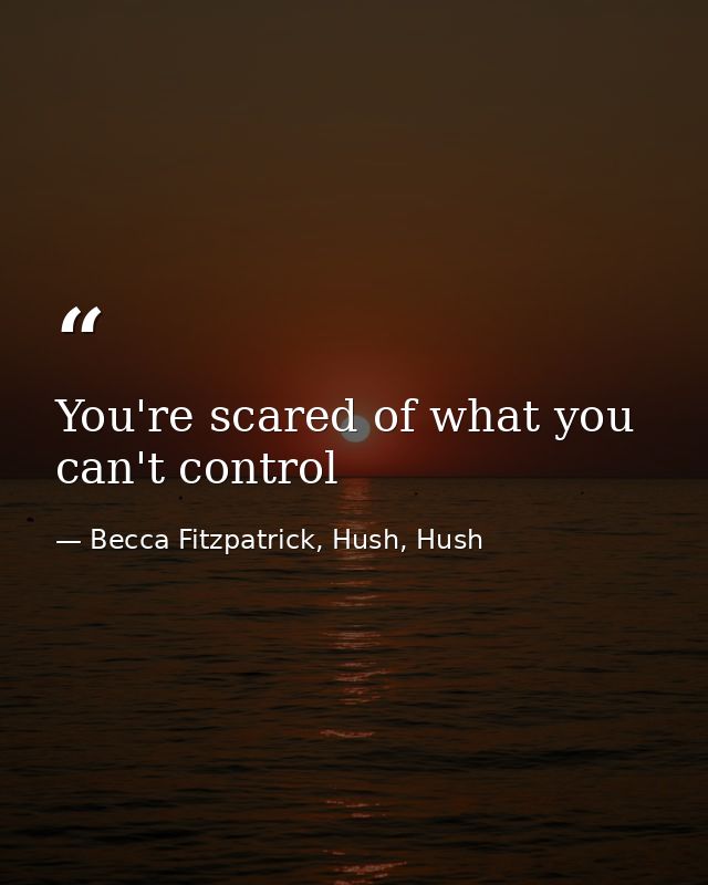 You're scared of what you can't control — Becca Fitzpatrick, Hush, Hush