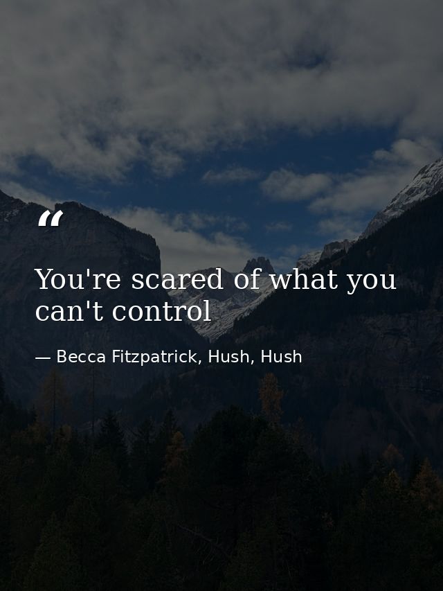 You're scared of what you can't control — Becca Fitzpatrick, Hush, Hush