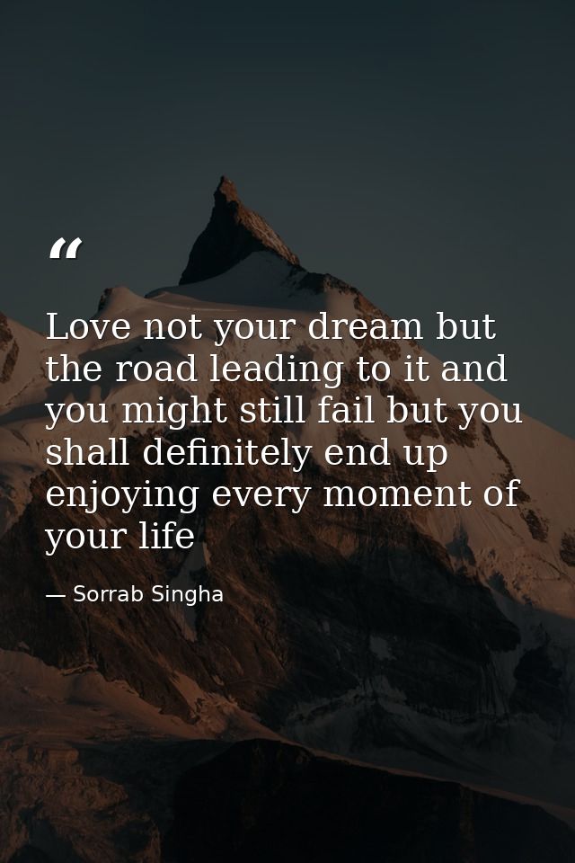 Love not your dream but the road leading to it and you might still fail but you shall definitely end up enjoying every m — Sorrab Singha