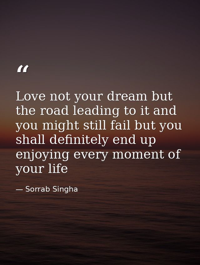 Love not your dream but the road leading to it and you might still fail but you shall definitely end up enjoying every m — Sorrab Singha