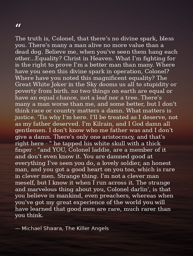 The truth is, Colonel, that there's no divine spark, bless you. There's many a man alive no more value than a dead dog.  — Michael Shaara, The Killer Angels
