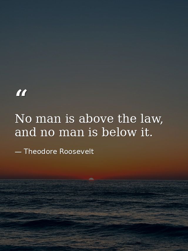 No man is above the law, and no man is below it. — Theodore Roosevelt