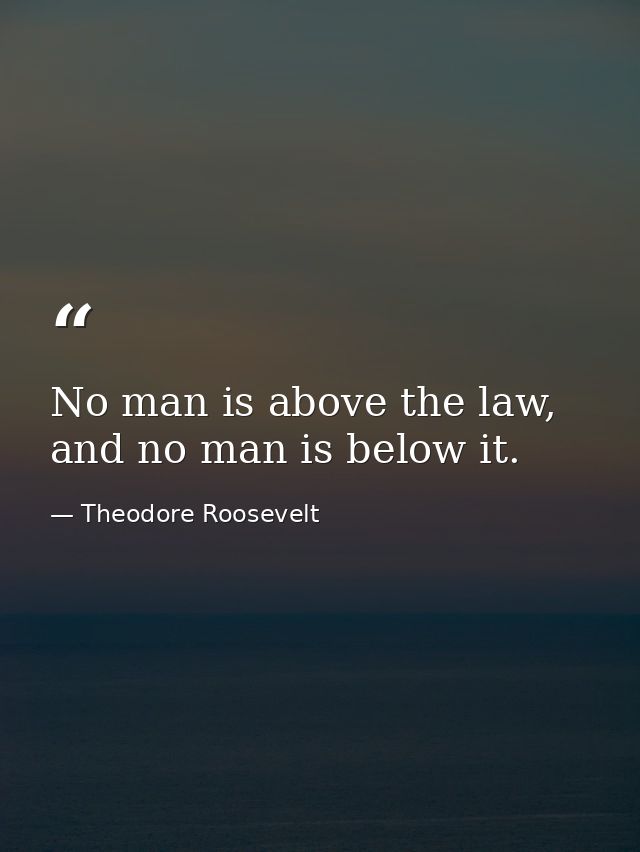 No man is above the law, and no man is below it. — Theodore Roosevelt