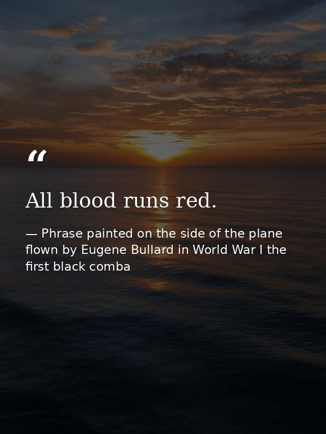 All blood runs red. — Phrase painted on the side of the plane flown by Eugene Bullard in World War I the first black comba