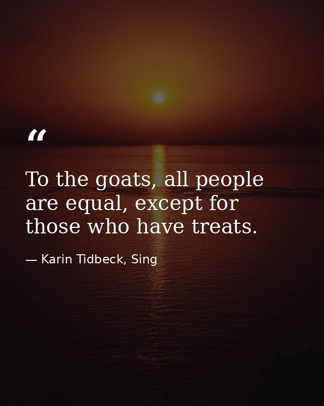To the goats, all people are equal, except for those who have treats. — Karin Tidbeck, Sing