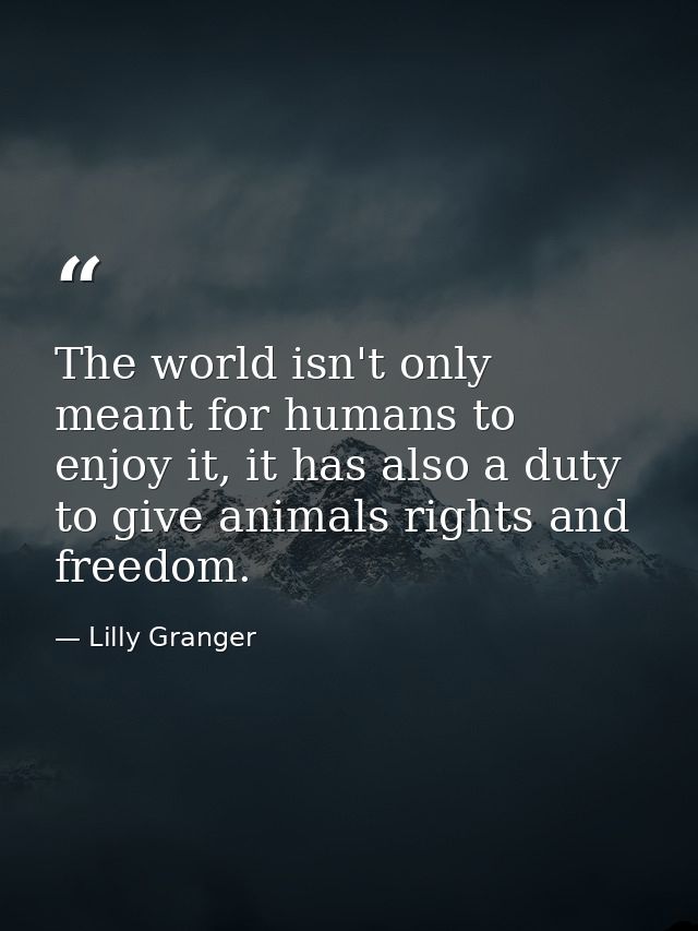 The world isn't only meant for humans to enjoy it, it has also a duty to give animals rights and freedom. — Lilly Granger