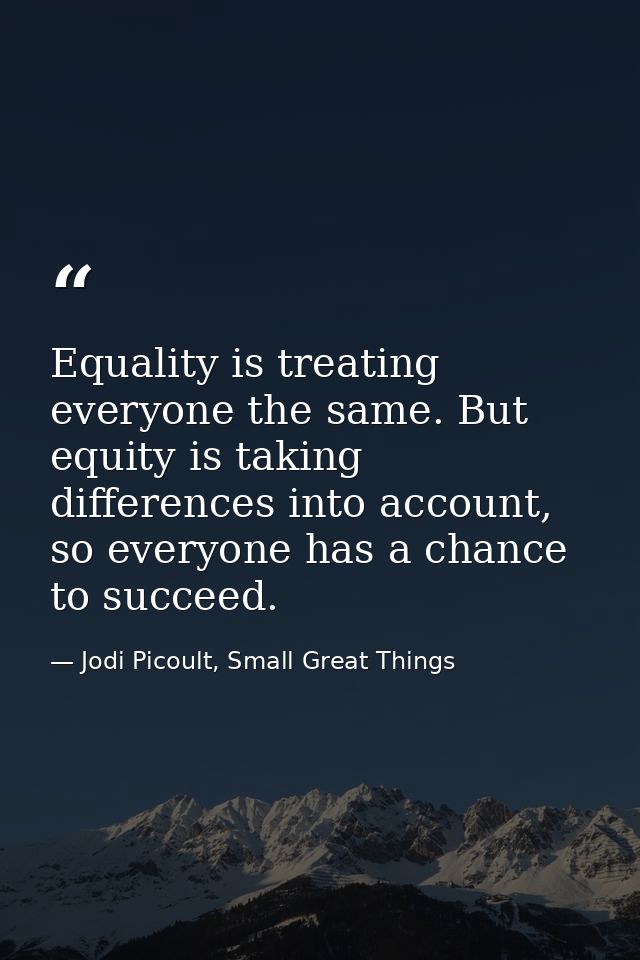 Equality is treating everyone the same. But equity is taking differences into account, so everyone has a chance to succe — Jodi Picoult, Small Great Things