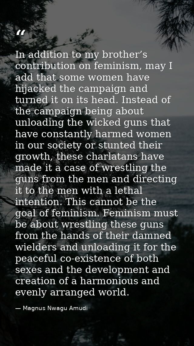 In addition to my brother’s contribution on feminism, may I add that some women have hijacked the campaign and turned it — Magnus Nwagu Amudi