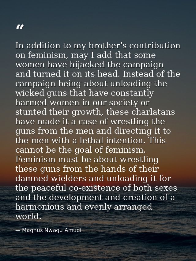 In addition to my brother’s contribution on feminism, may I add that some women have hijacked the campaign and turned it — Magnus Nwagu Amudi