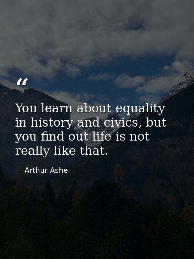 You learn about equality in history and civics, but you find out life is not really like that. — Arthur Ashe