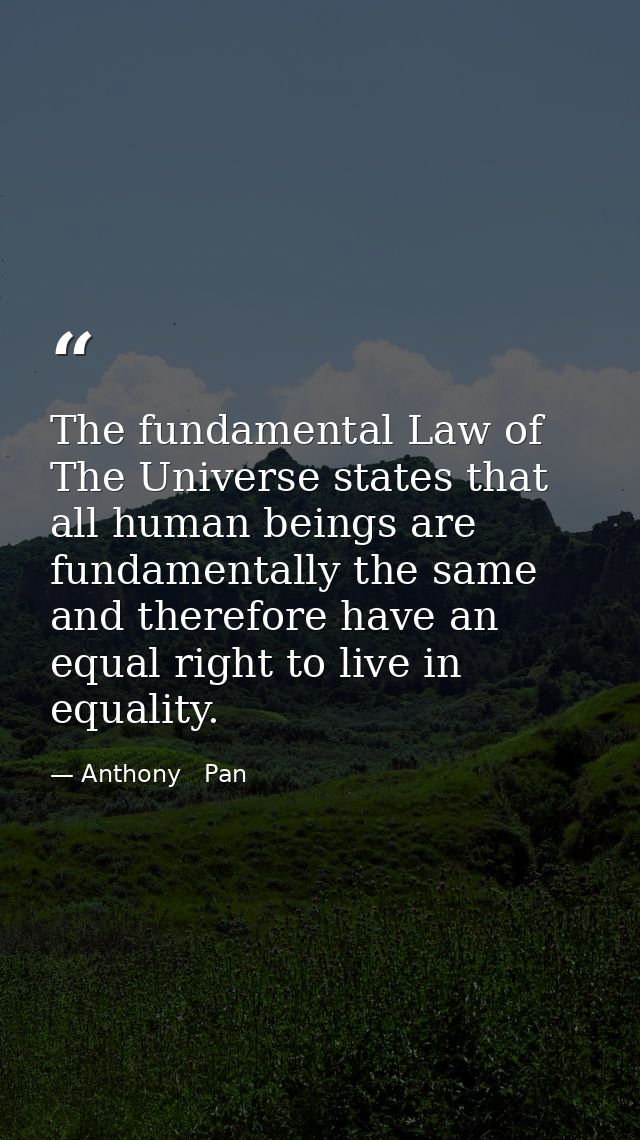 The fundamental Law of The Universe states that all human beings are fundamentally the same and therefore have an equal  — Anthony   Pan