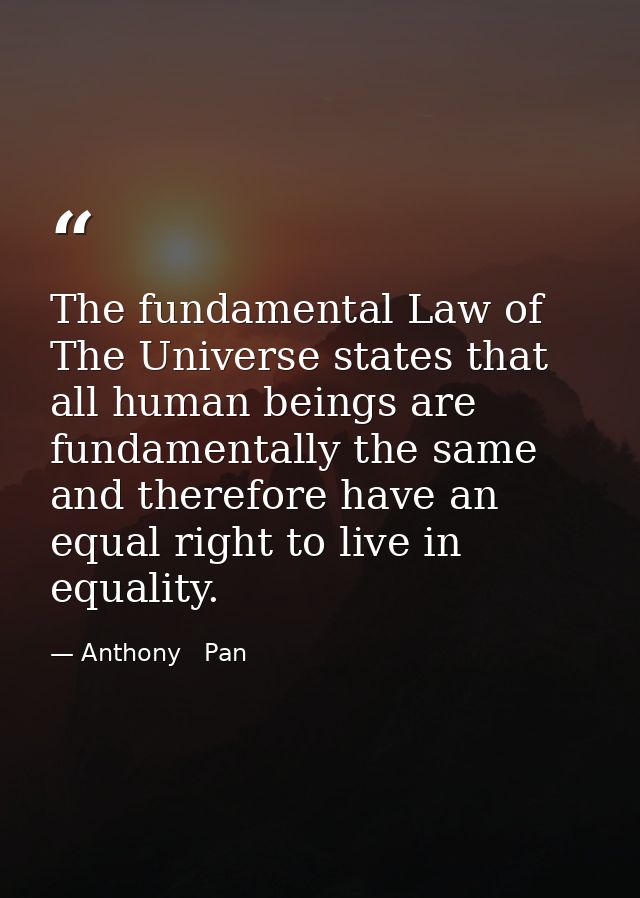 The fundamental Law of The Universe states that all human beings are fundamentally the same and therefore have an equal  — Anthony   Pan