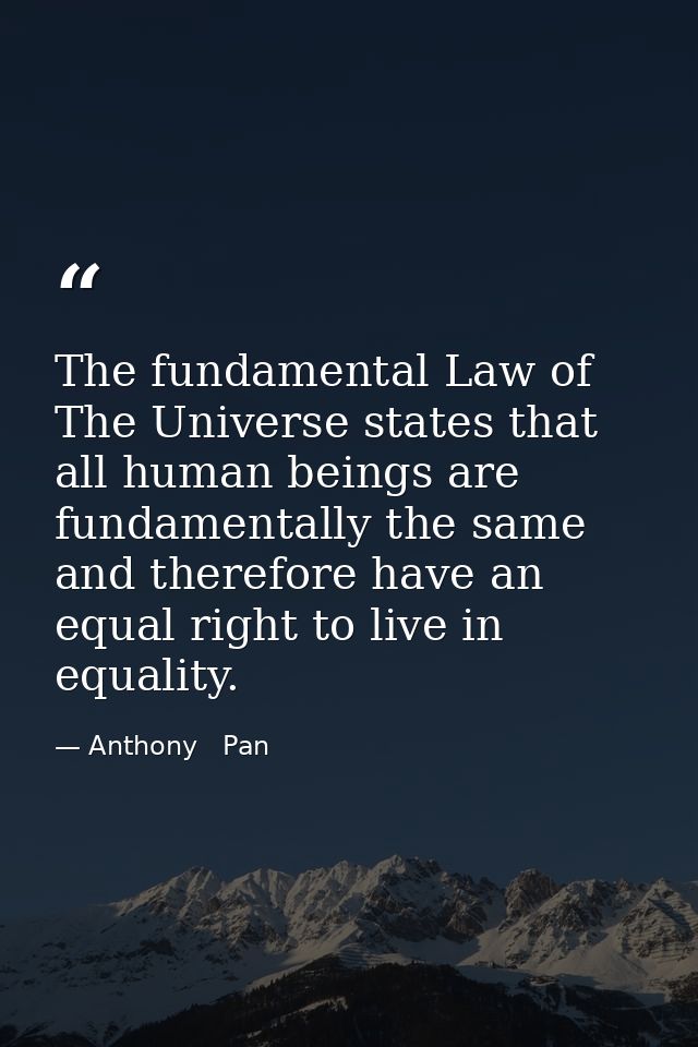 The fundamental Law of The Universe states that all human beings are fundamentally the same and therefore have an equal  — Anthony   Pan