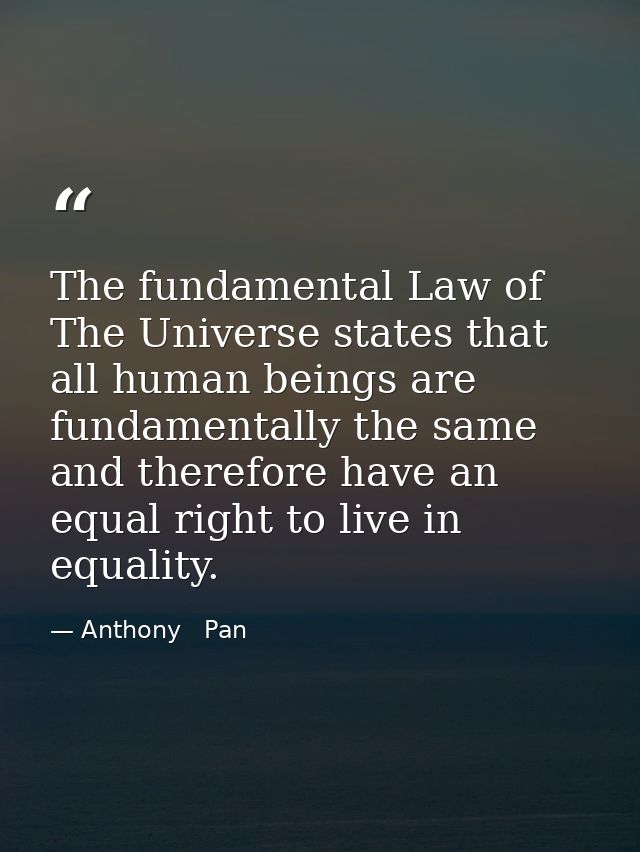 The fundamental Law of The Universe states that all human beings are fundamentally the same and therefore have an equal  — Anthony   Pan