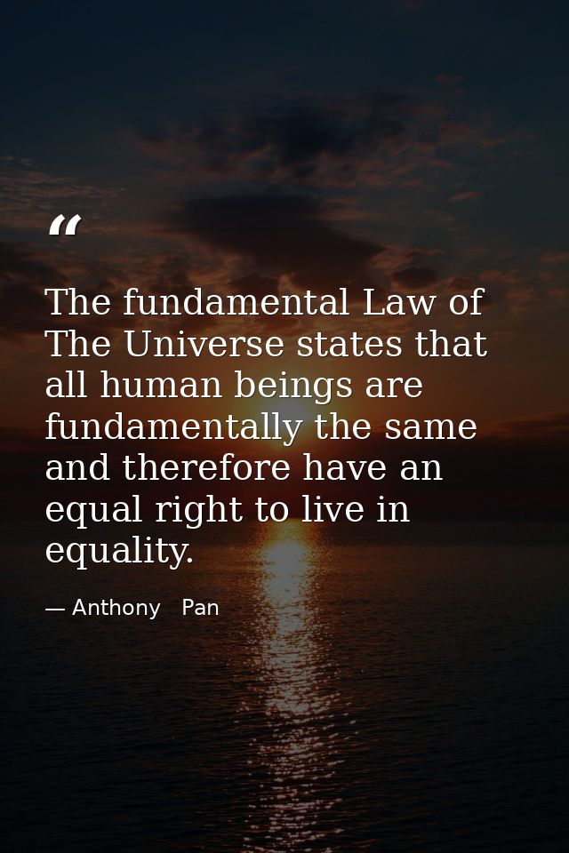 The fundamental Law of The Universe states that all human beings are fundamentally the same and therefore have an equal  — Anthony   Pan