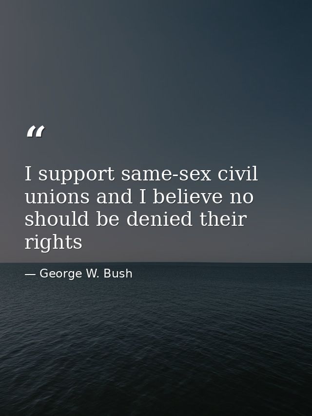 I support same-sex civil unions and I believe no should be denied their rights — George W. Bush