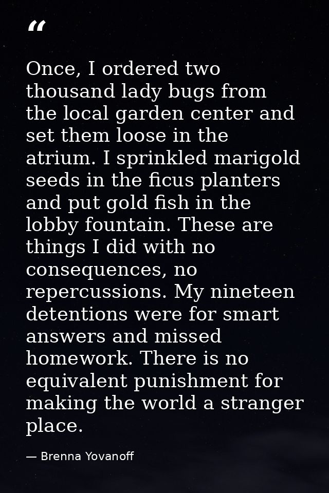 Once, I ordered two thousand lady bugs from the local garden center and set them loose in the atrium. I sprinkled marigo — Brenna Yovanoff