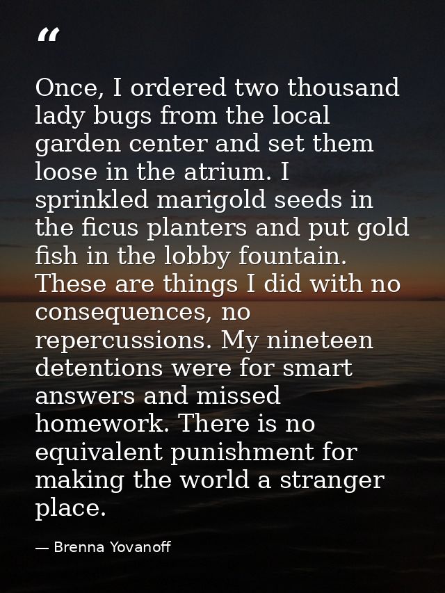 Once, I ordered two thousand lady bugs from the local garden center and set them loose in the atrium. I sprinkled marigo — Brenna Yovanoff