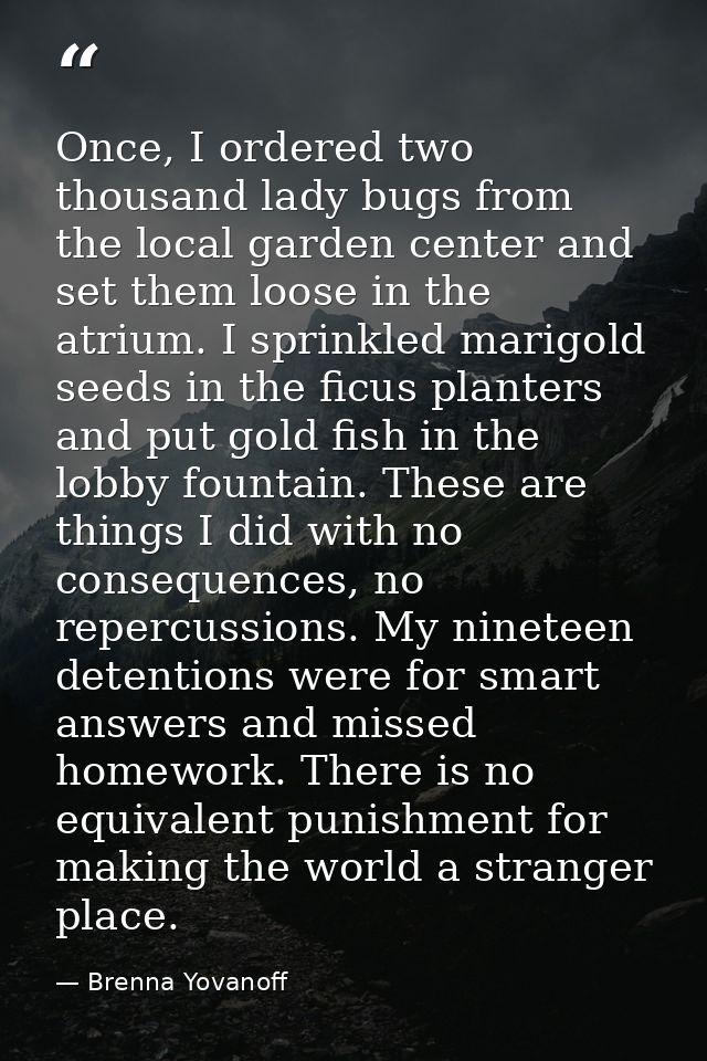 Once, I ordered two thousand lady bugs from the local garden center and set them loose in the atrium. I sprinkled marigo — Brenna Yovanoff