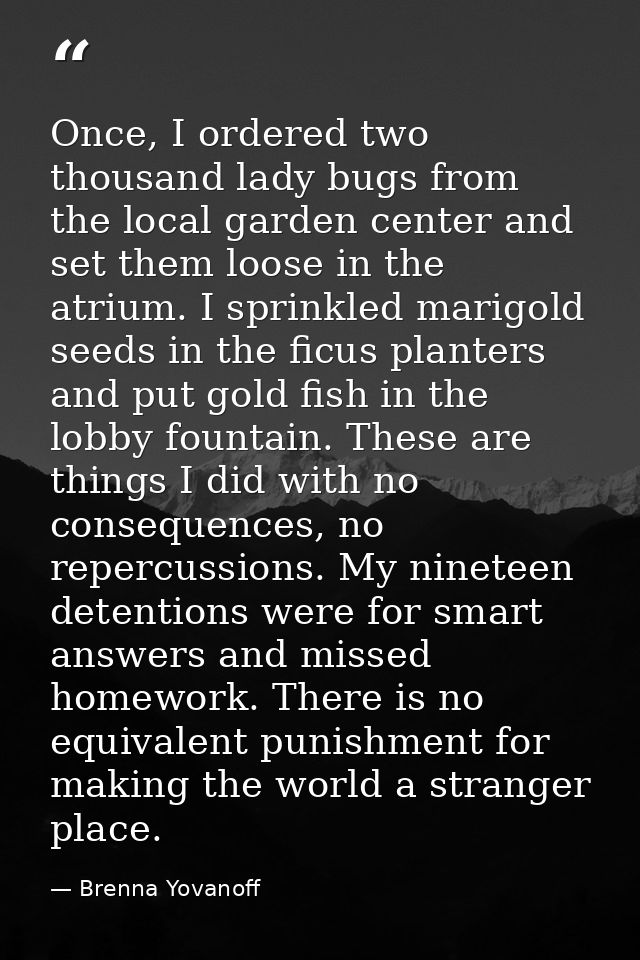 Once, I ordered two thousand lady bugs from the local garden center and set them loose in the atrium. I sprinkled marigo — Brenna Yovanoff