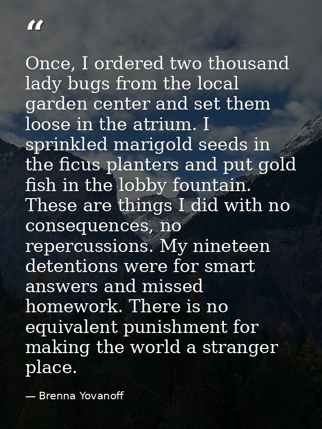 Once, I ordered two thousand lady bugs from the local garden center and set them loose in the atrium. I sprinkled marigo — Brenna Yovanoff