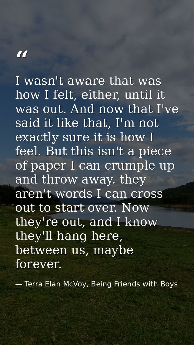 I wasn't aware that was how I felt, either, until it was out. And now that I've said it like that, I'm not exactly sure  — Terra Elan McVoy, Being Friends with Boys