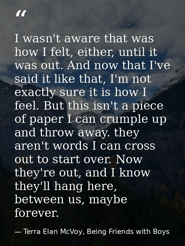 I wasn't aware that was how I felt, either, until it was out. And now that I've said it like that, I'm not exactly sure  — Terra Elan McVoy, Being Friends with Boys