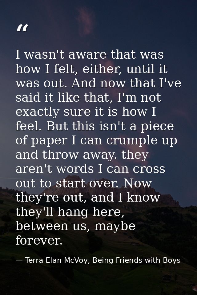 I wasn't aware that was how I felt, either, until it was out. And now that I've said it like that, I'm not exactly sure  — Terra Elan McVoy, Being Friends with Boys