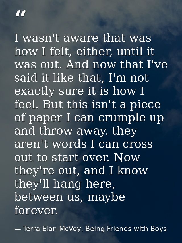 I wasn't aware that was how I felt, either, until it was out. And now that I've said it like that, I'm not exactly sure  — Terra Elan McVoy, Being Friends with Boys