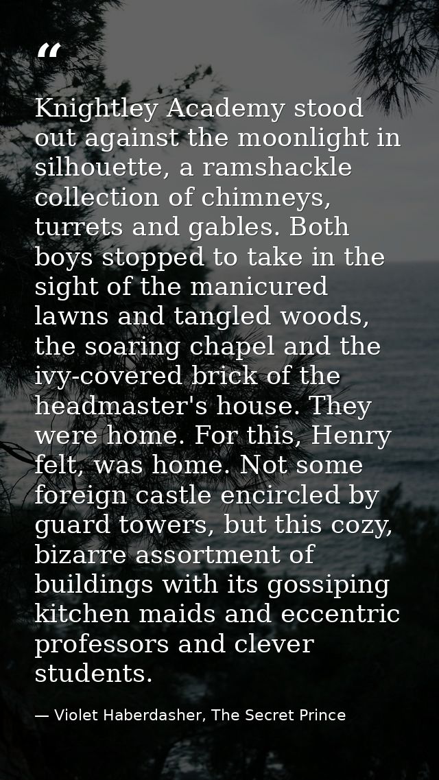Knightley Academy stood out against the moonlight in silhouette, a ramshackle collection of chimneys, turrets and gables — Violet Haberdasher, The Secret Prince