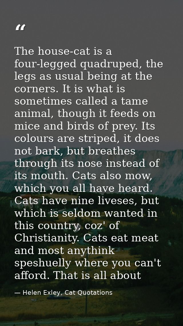 The house-cat is a four-legged quadruped, the legs as usual being at the corners. It is what is sometimes called a tame  — Helen Exley, Cat Quotations