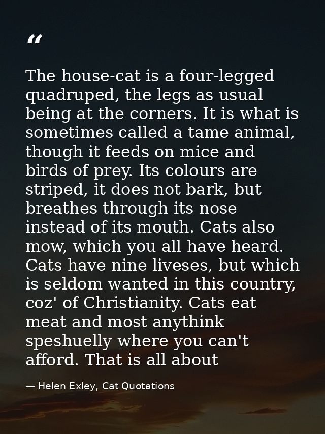 The house-cat is a four-legged quadruped, the legs as usual being at the corners. It is what is sometimes called a tame  — Helen Exley, Cat Quotations