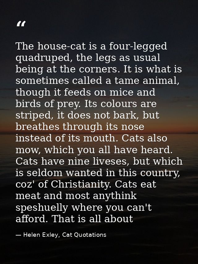 The house-cat is a four-legged quadruped, the legs as usual being at the corners. It is what is sometimes called a tame  — Helen Exley, Cat Quotations