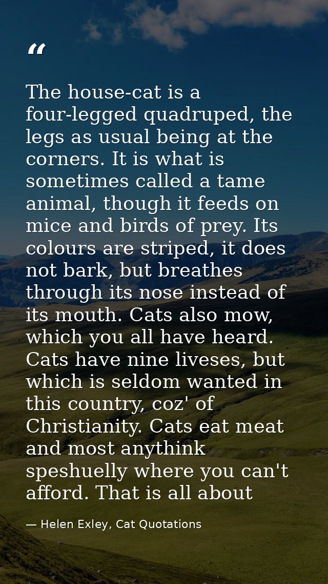 The house-cat is a four-legged quadruped, the legs as usual being at the corners. It is what is sometimes called a tame  — Helen Exley, Cat Quotations