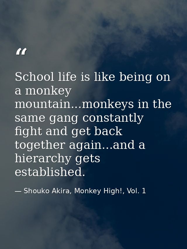 School life is like being on a monkey mountain...monkeys in the same gang constantly fight and get back together again.. — Shouko Akira, Monkey High!, Vol. 1