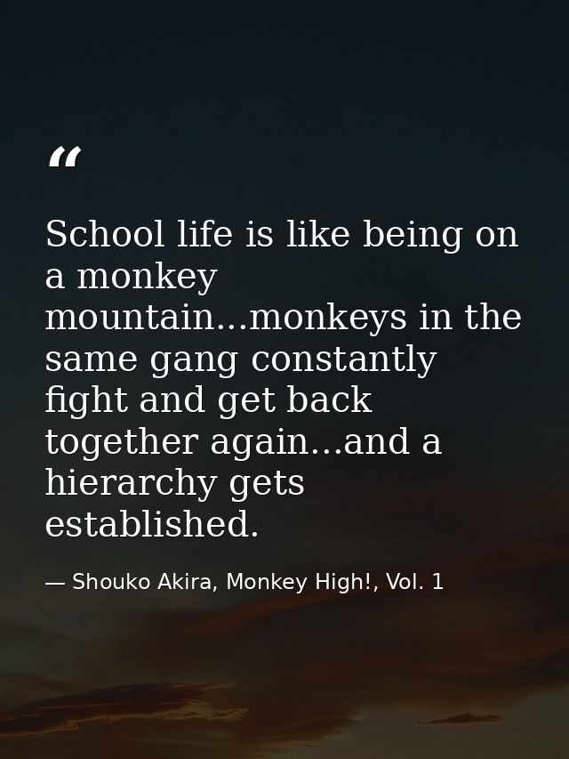 School life is like being on a monkey mountain...monkeys in the same gang constantly fight and get back together again.. — Shouko Akira, Monkey High!, Vol. 1