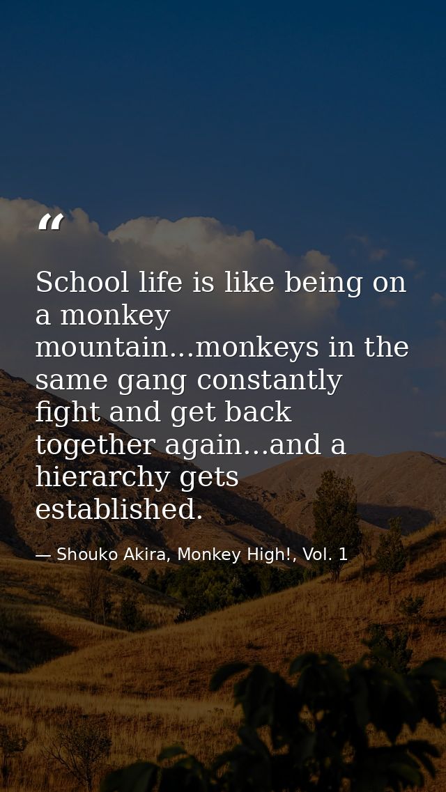 School life is like being on a monkey mountain...monkeys in the same gang constantly fight and get back together again.. — Shouko Akira, Monkey High!, Vol. 1