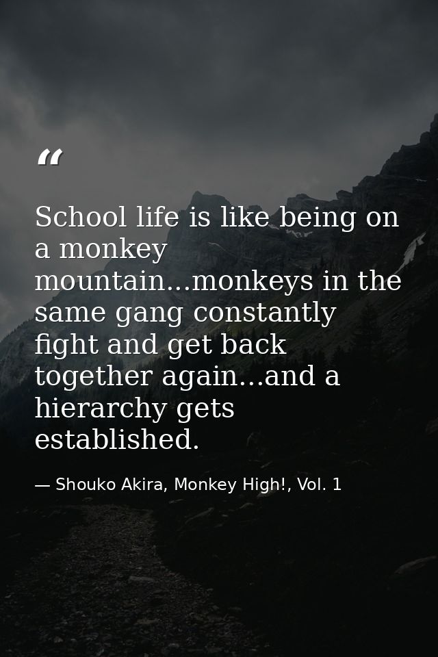 School life is like being on a monkey mountain...monkeys in the same gang constantly fight and get back together again.. — Shouko Akira, Monkey High!, Vol. 1