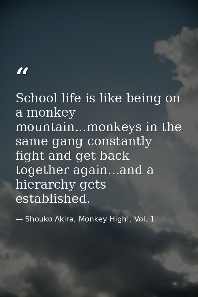 School life is like being on a monkey mountain...monkeys in the same gang constantly fight and get back together again.. — Shouko Akira, Monkey High!, Vol. 1
