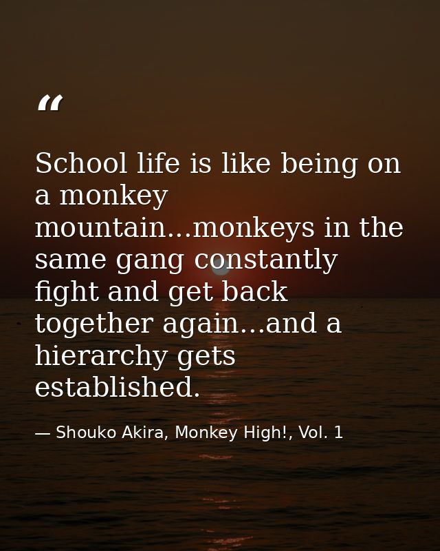 School life is like being on a monkey mountain...monkeys in the same gang constantly fight and get back together again.. — Shouko Akira, Monkey High!, Vol. 1