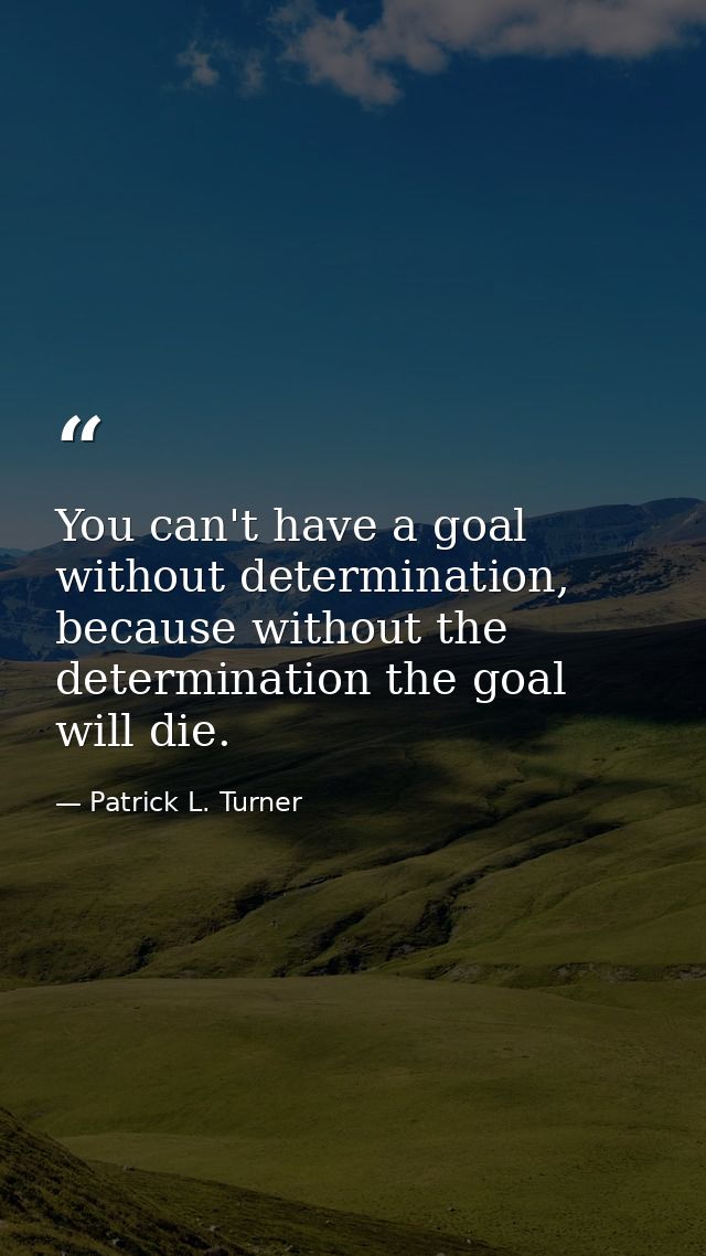 You can't have a goal without determination, because without the determination the goal will die. — Patrick L. Turner