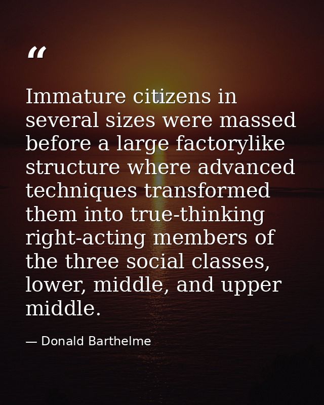Immature citizens in several sizes were massed before a large factorylike structure where advanced techniques transforme — Donald Barthelme