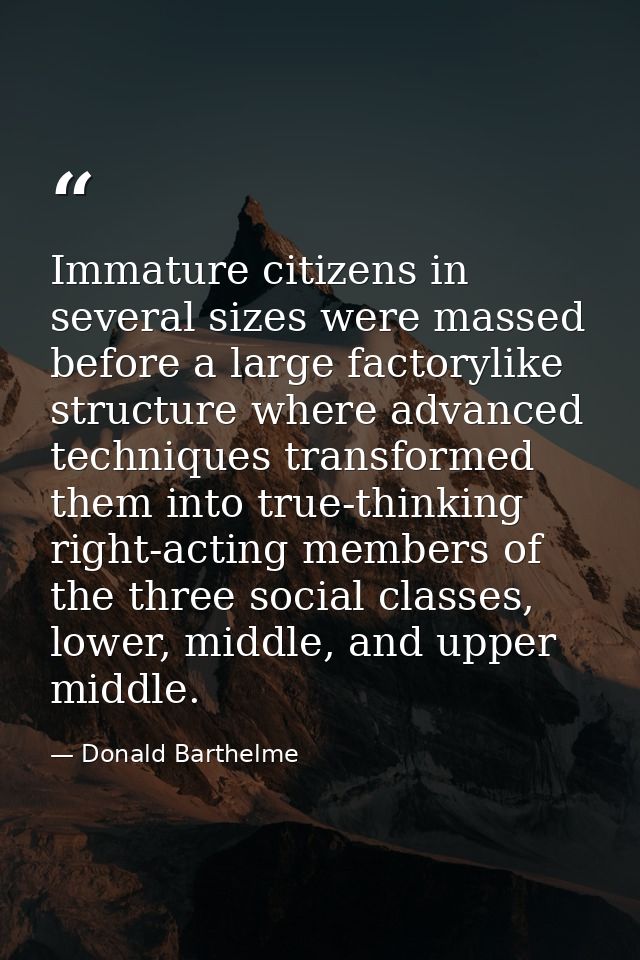 Immature citizens in several sizes were massed before a large factorylike structure where advanced techniques transforme — Donald Barthelme