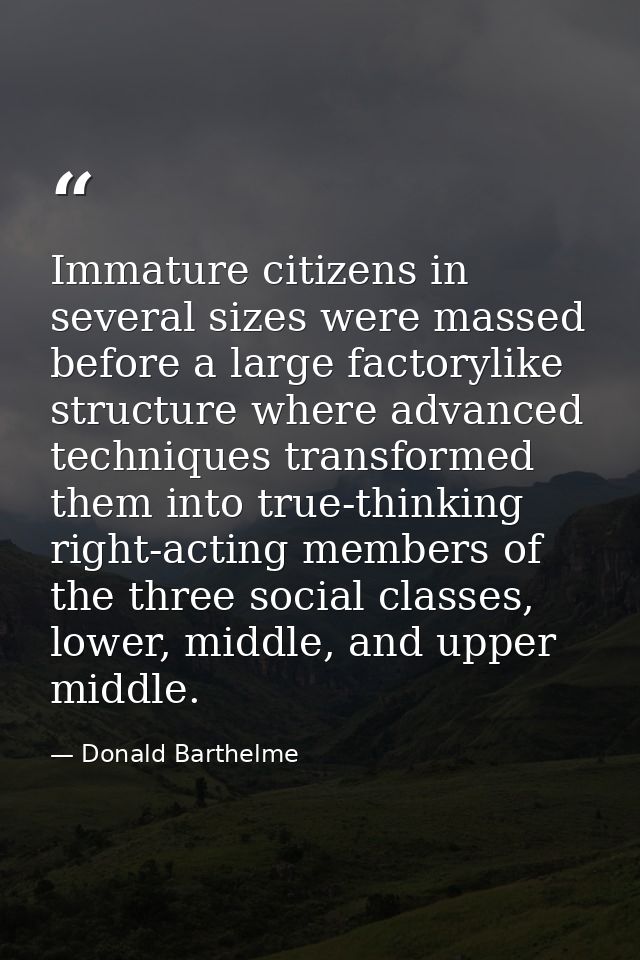 Immature citizens in several sizes were massed before a large factorylike structure where advanced techniques transforme — Donald Barthelme