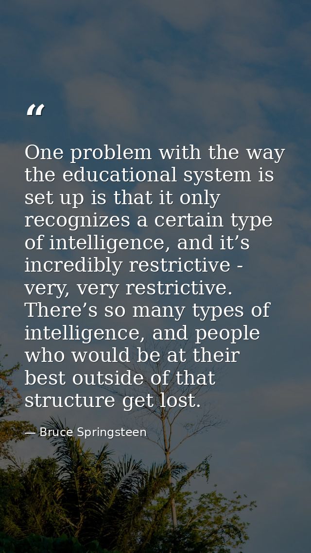 One problem with the way the educational system is set up is that it only recognizes a certain type of intelligence, and — Bruce Springsteen