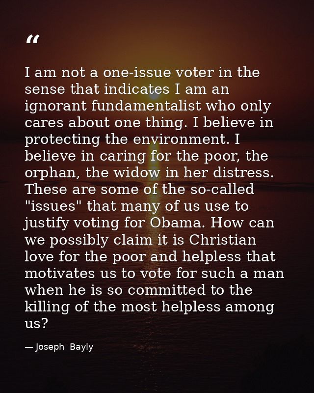 I am not a one-issue voter in the sense that indicates I am an ignorant fundamentalist who only cares about one thing. I — Joseph  Bayly