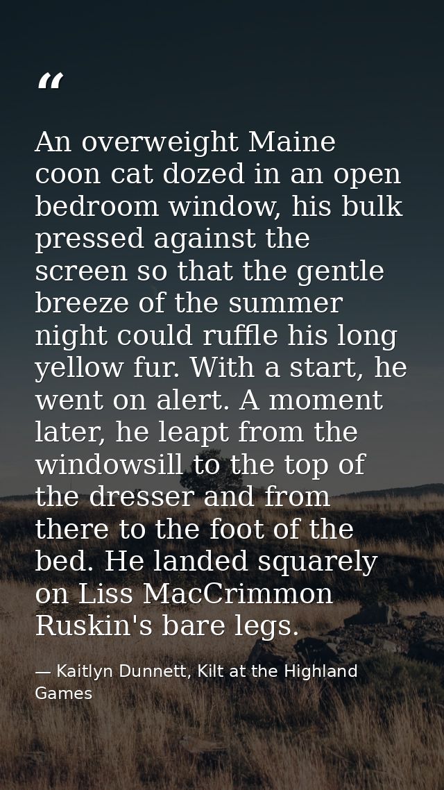 An overweight Maine coon cat dozed in an open bedroom window, his bulk pressed against the screen so that the gentle bre — Kaitlyn Dunnett, Kilt at the Highland Games