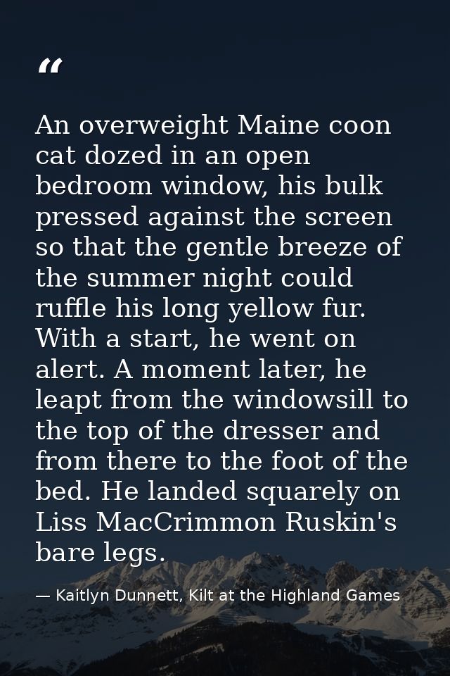 An overweight Maine coon cat dozed in an open bedroom window, his bulk pressed against the screen so that the gentle bre — Kaitlyn Dunnett, Kilt at the Highland Games