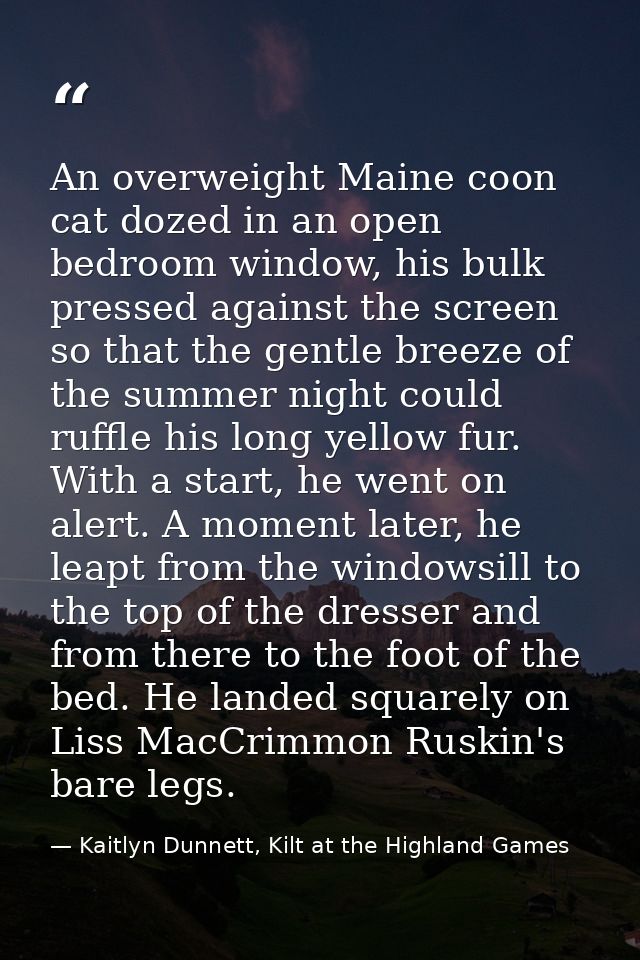 An overweight Maine coon cat dozed in an open bedroom window, his bulk pressed against the screen so that the gentle bre — Kaitlyn Dunnett, Kilt at the Highland Games