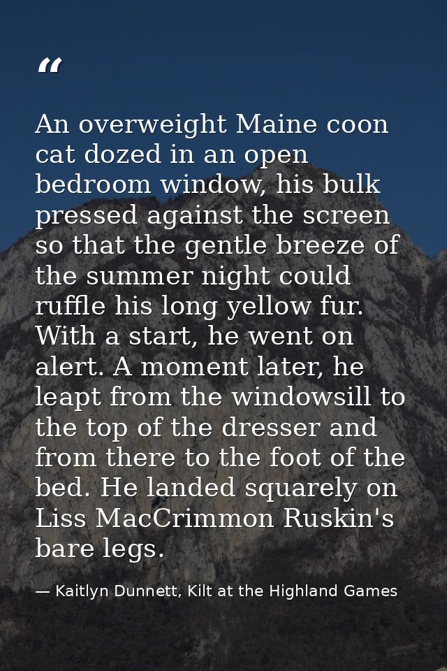 An overweight Maine coon cat dozed in an open bedroom window, his bulk pressed against the screen so that the gentle bre — Kaitlyn Dunnett, Kilt at the Highland Games